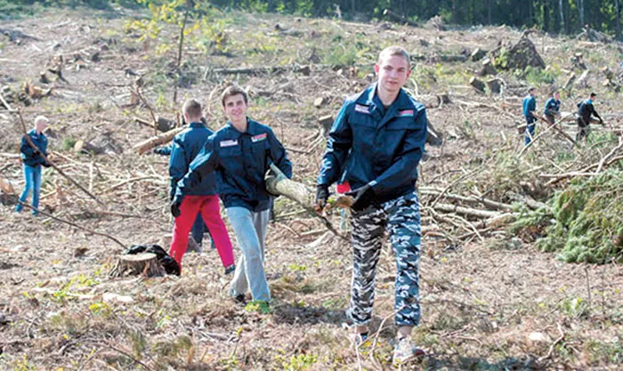 Учащиеся Минска целый месяц трудились в Боровлянском спецлесхозе. фото
